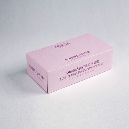 自貢紙制品銷售的現(xiàn)狀與未來(lái) 傳統(tǒng)與創(chuàng)新的交匯